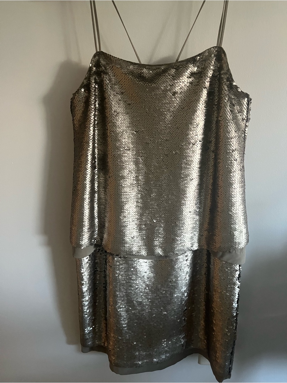 Banana Republic Silver Sequin Strapless Dress